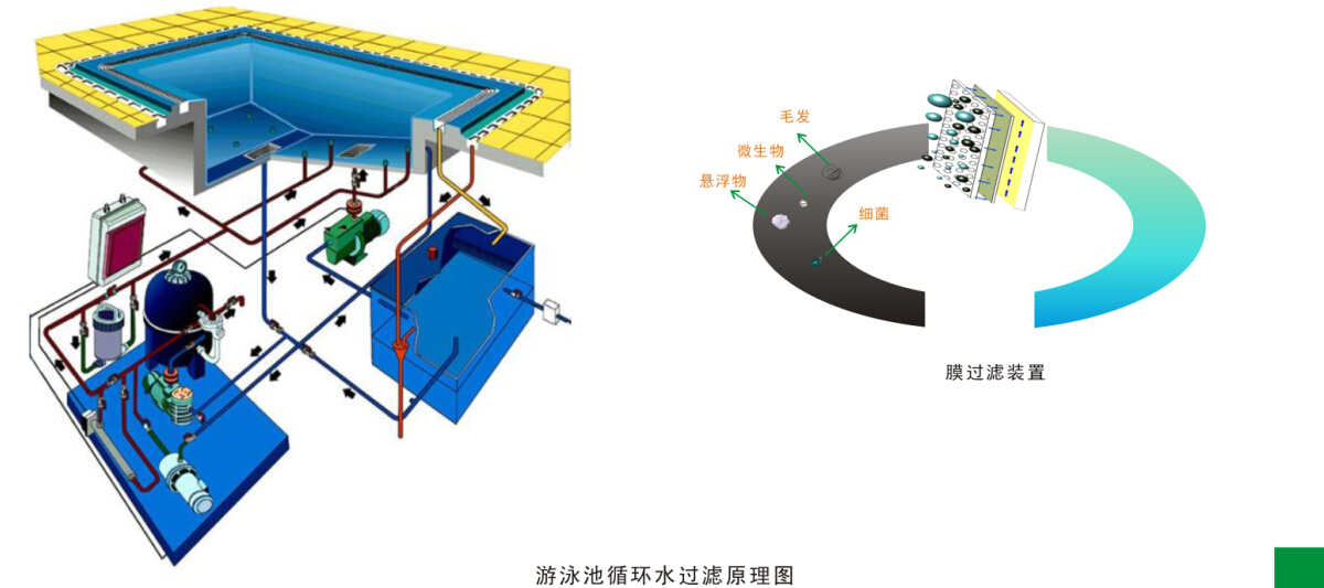 游泳池水循环净化处理工(gōng)程(chéng)